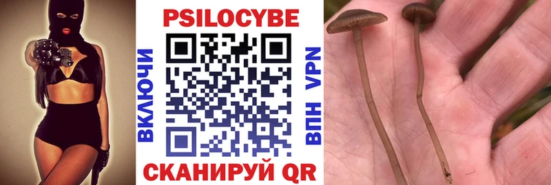 Псилоцибиновые грибы Magic Shrooms Чёрмоз